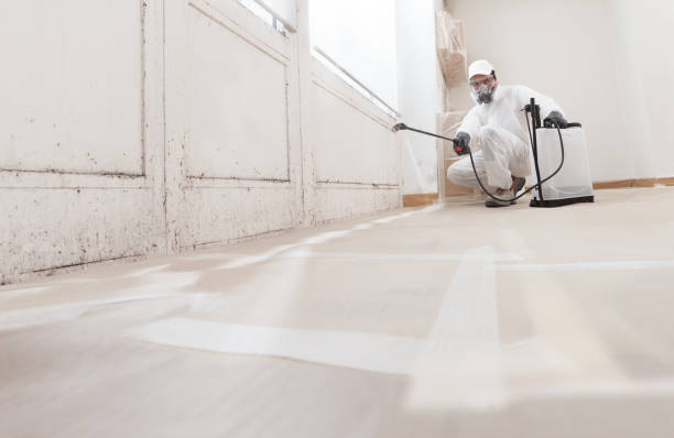 24/7 Emergency Commercial Mold Remediation experts in Lignum, VA
